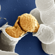 Illustration for article titled The Astounding And Horrific World As Seen Under A Microscope